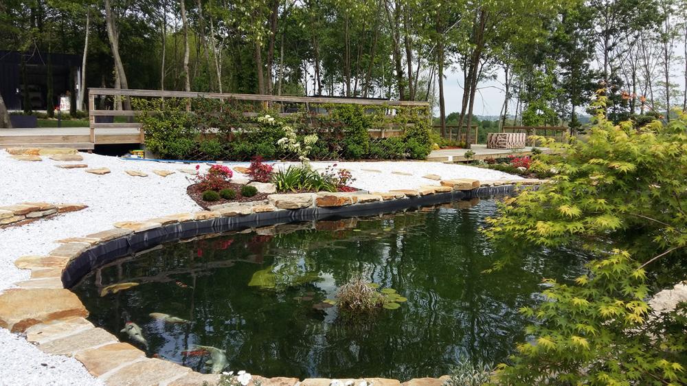 piscine biologiques
