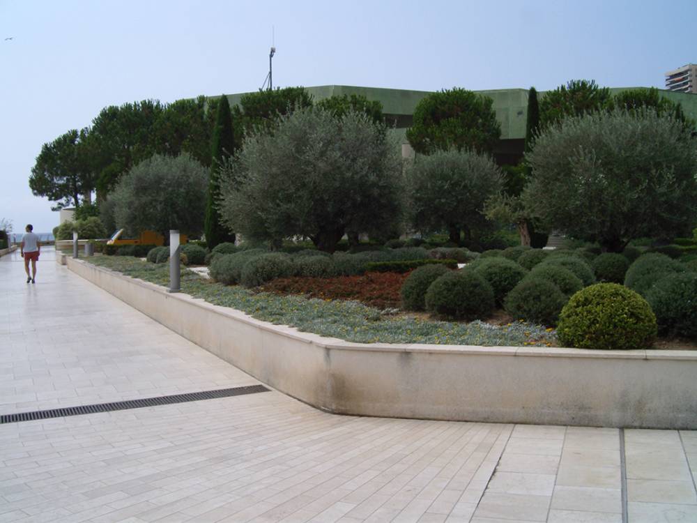 jardin