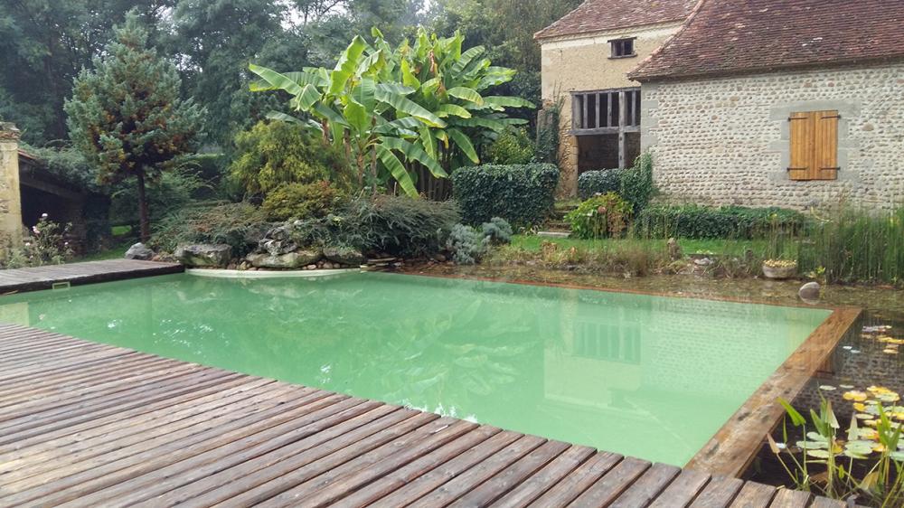 piscine naturelle