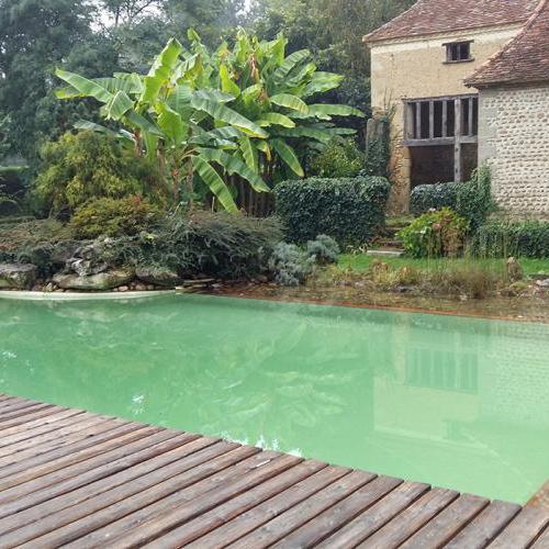 piscine naturelle