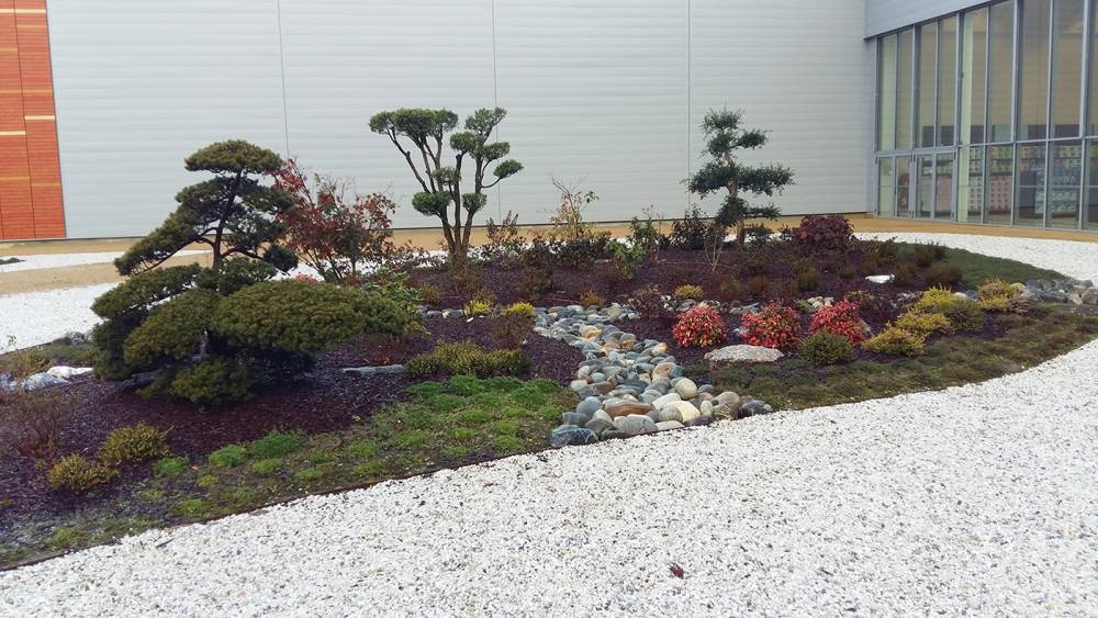 jardin anglais